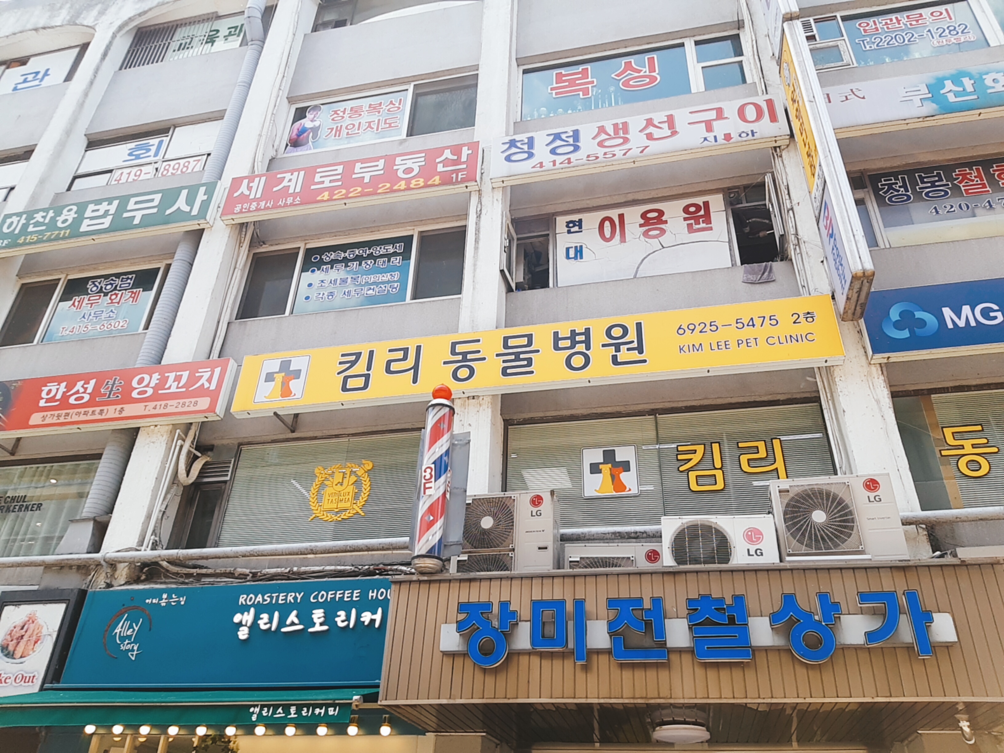 이미지