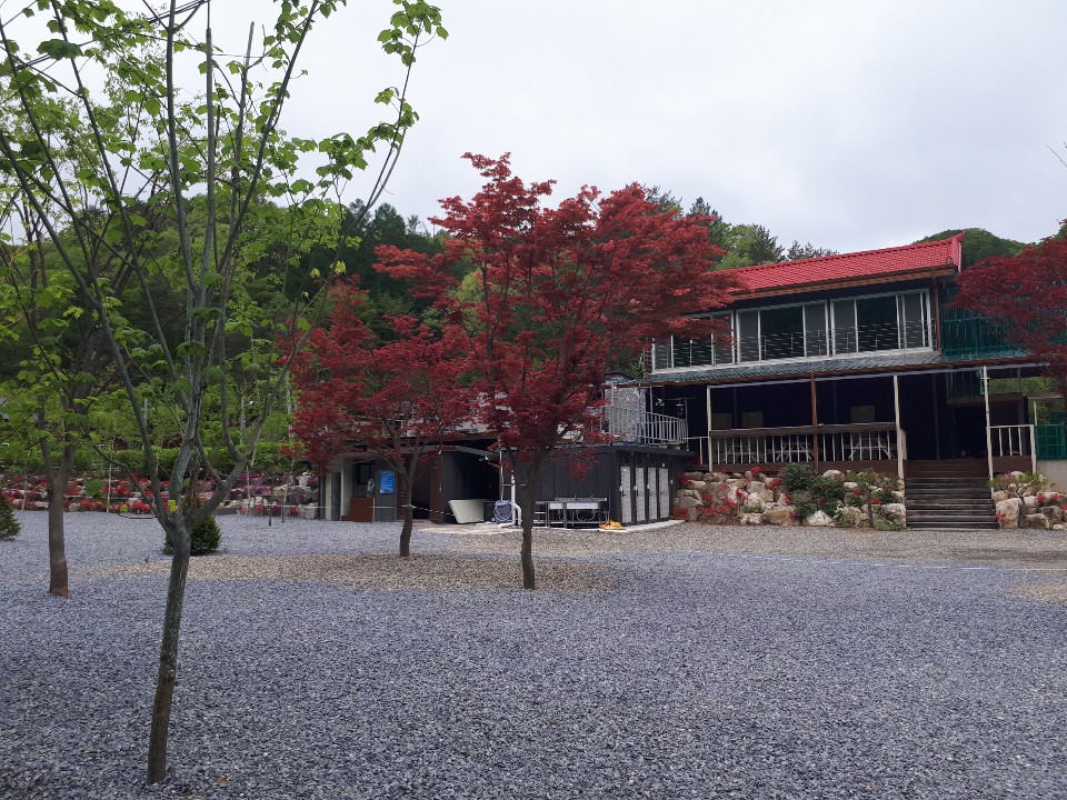 화기애애 단풍 캠핑장