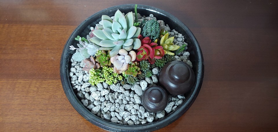 떼라공방