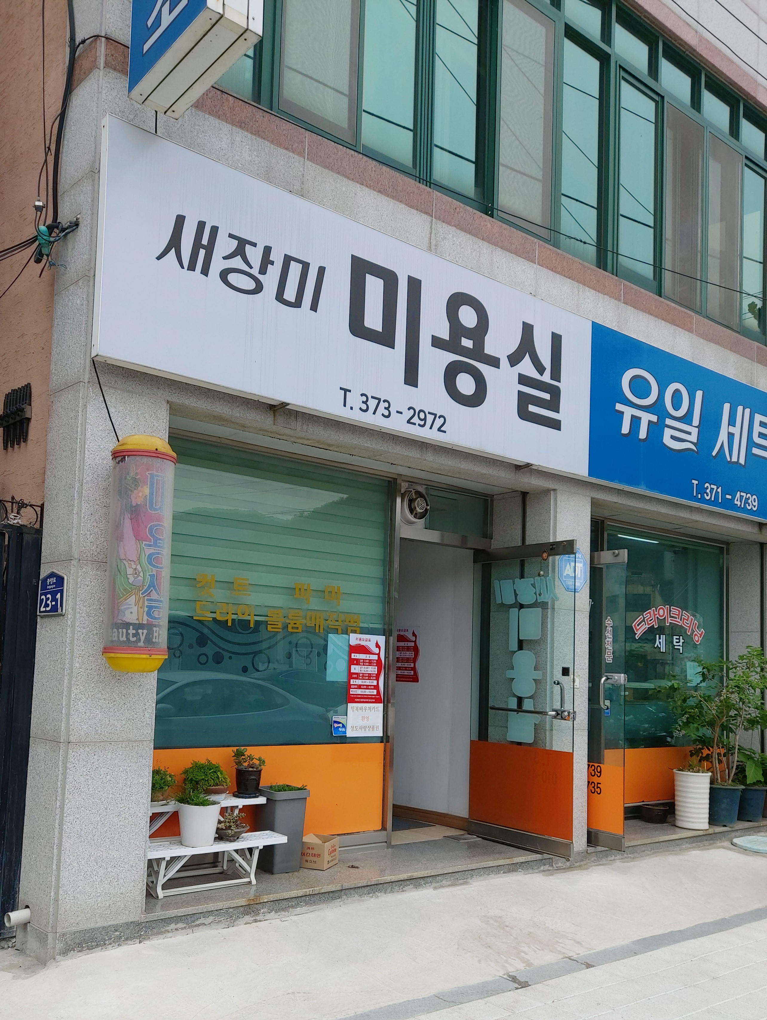 새장미미용실