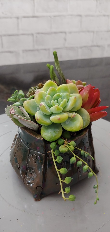 떼라공방