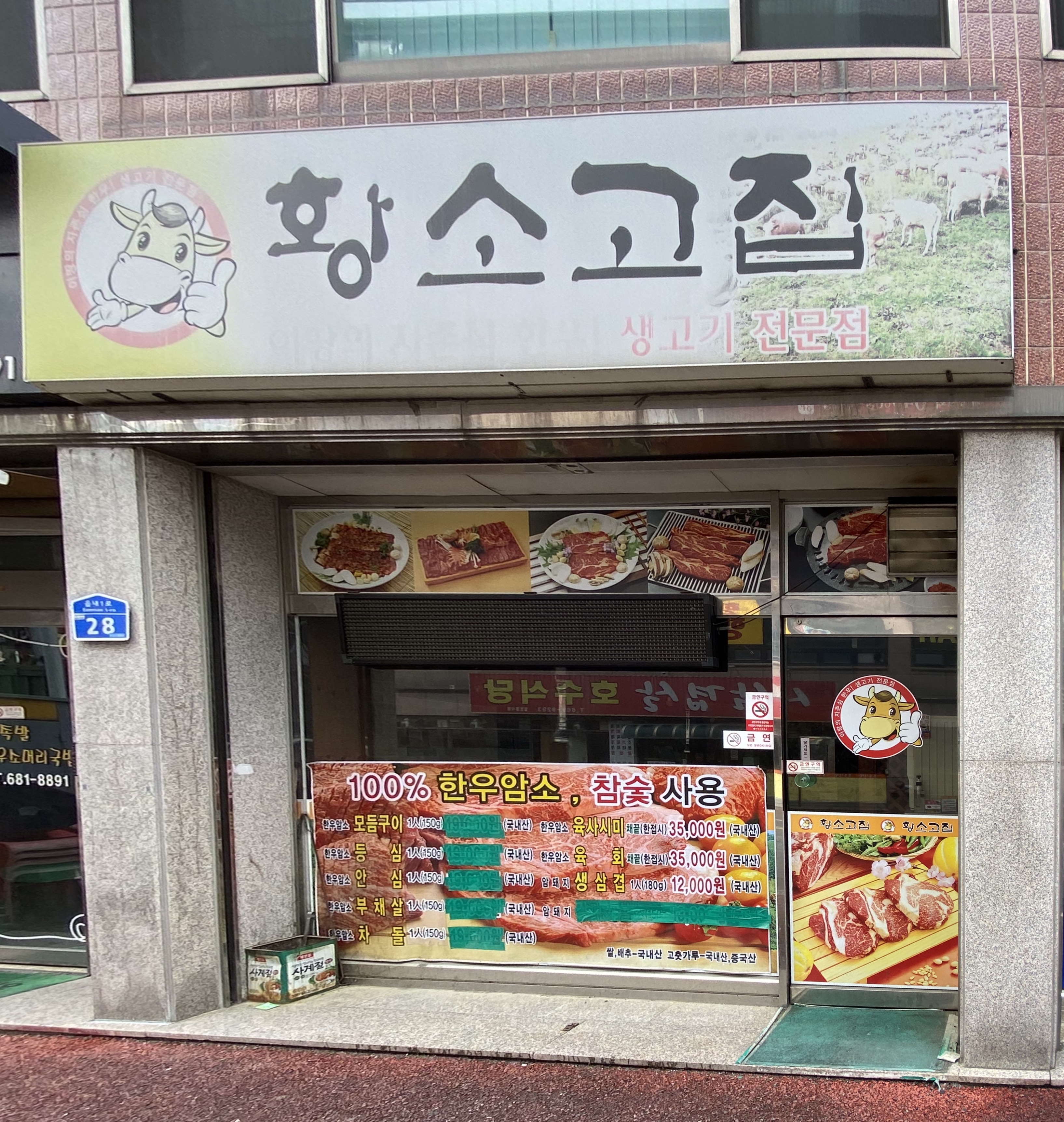황소고집