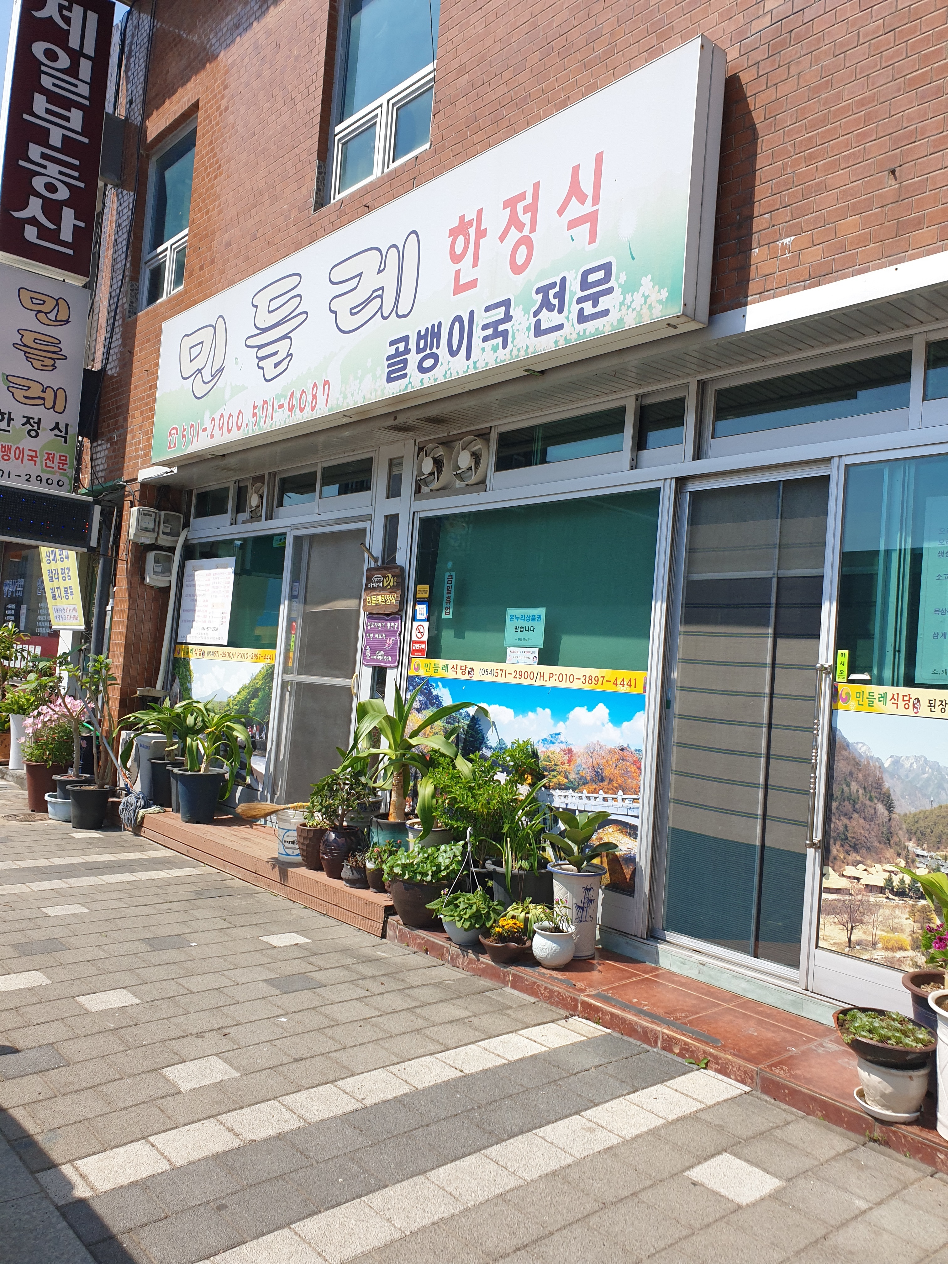 민들레