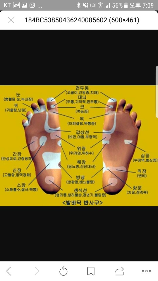 리빙스킨&바디