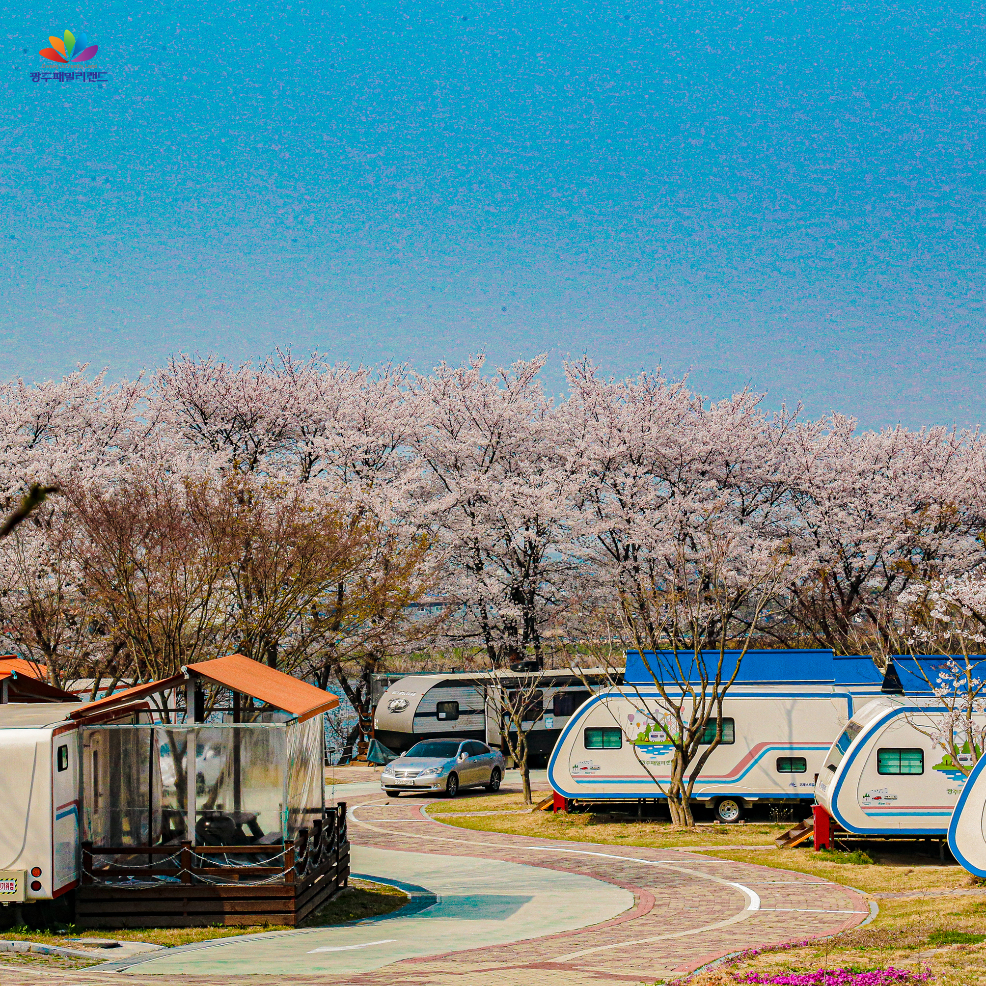 패밀리랜드 카라반 캠핑장
