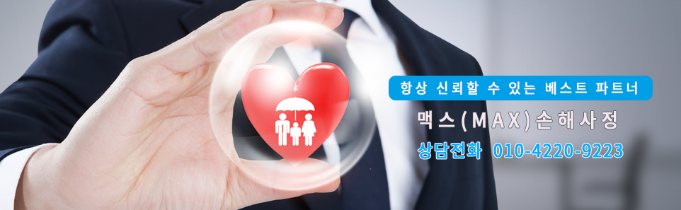 맥스손해사정 대표 이미지