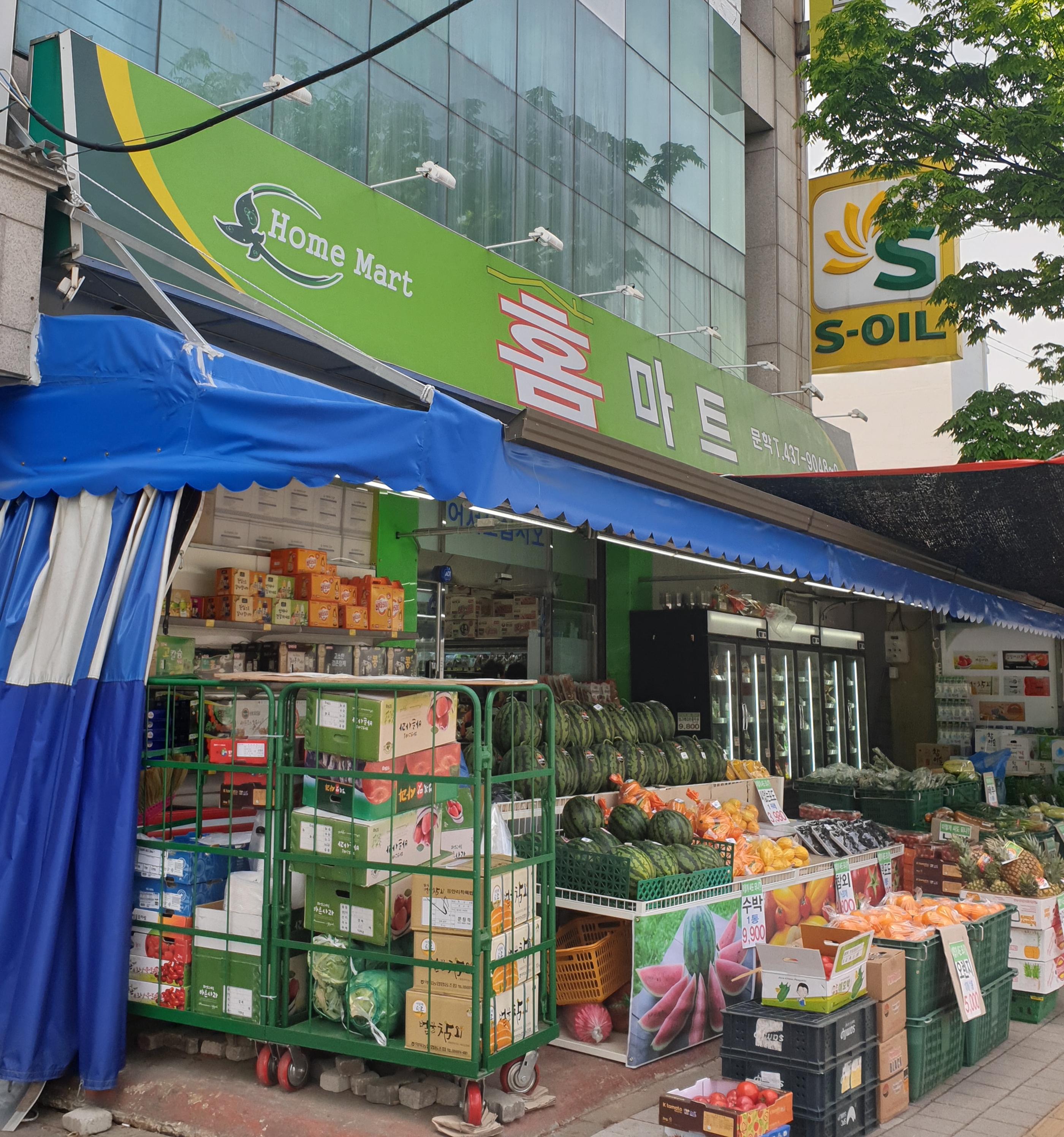 홈마트 문학