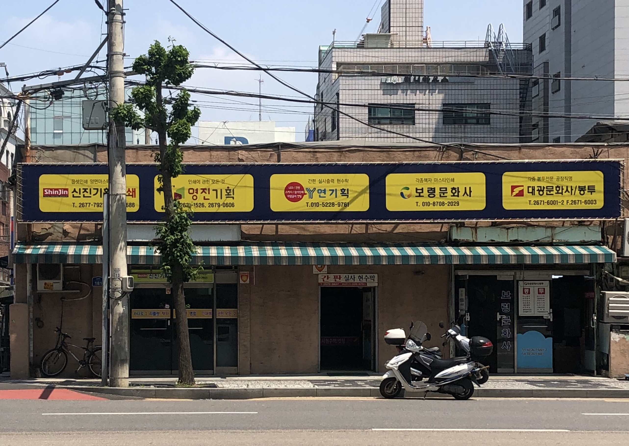 보령D&P