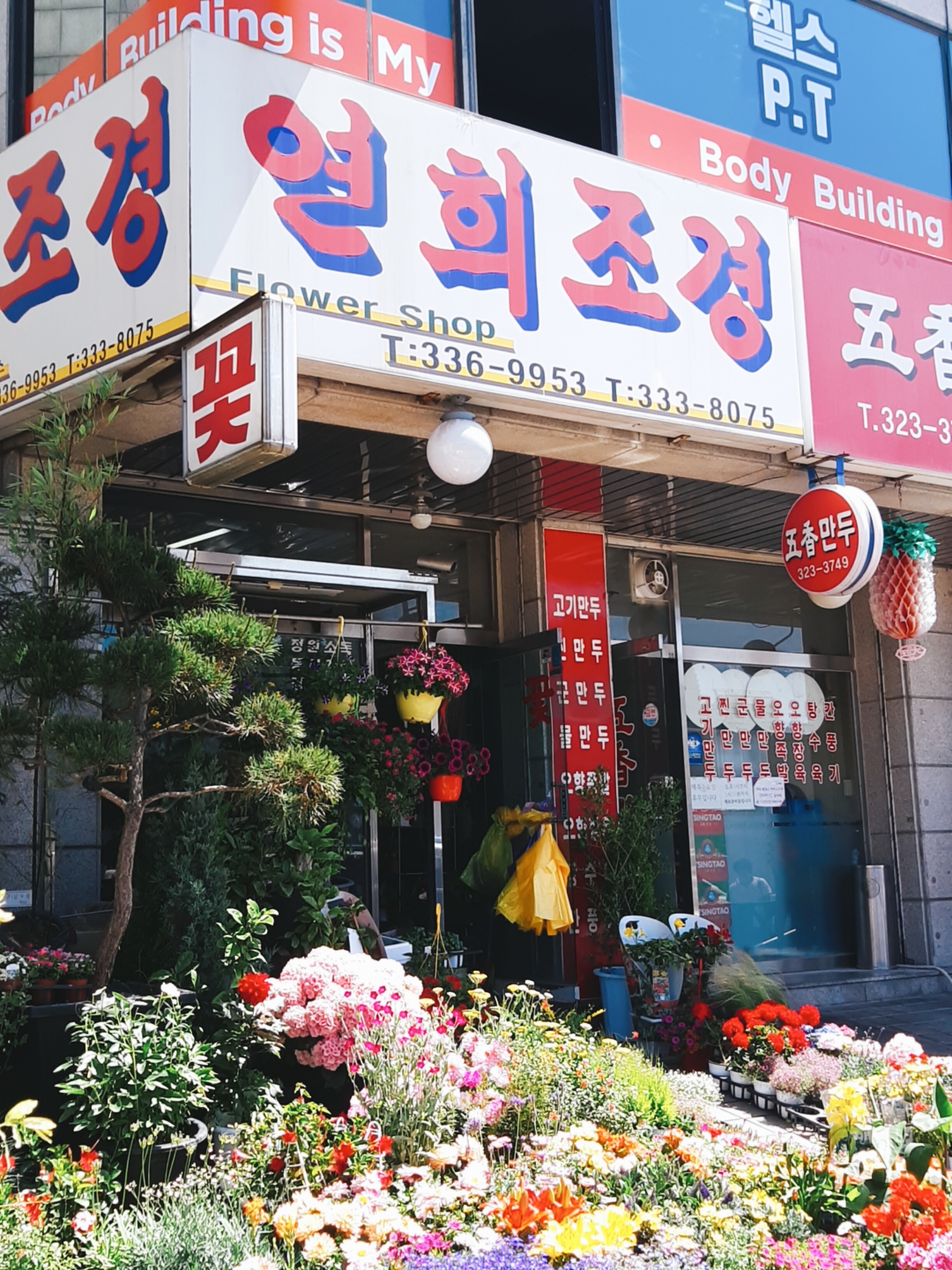 연희조경