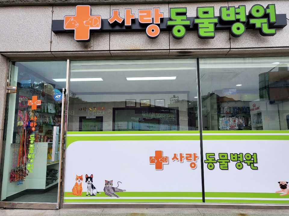 사랑동물병원