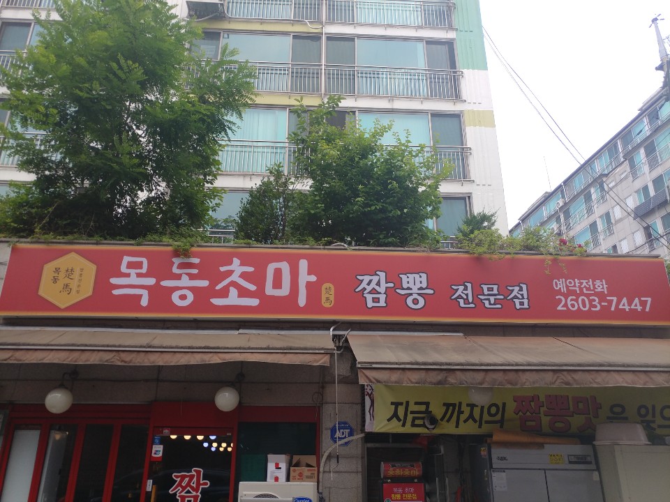 목동초마