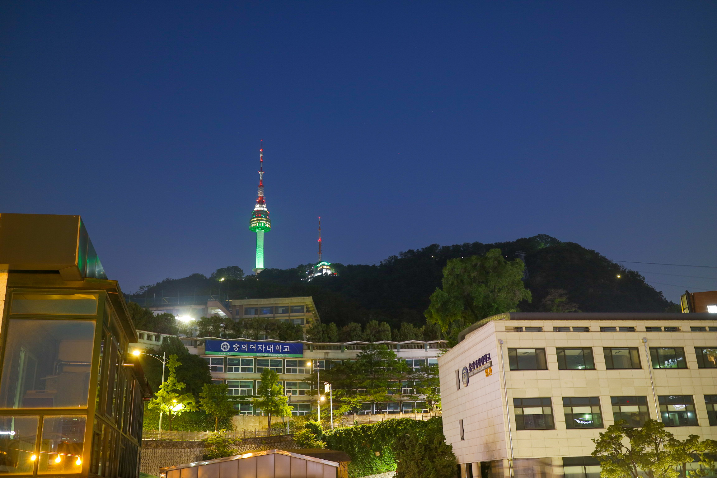 남산호스텔 서울 애견숙소