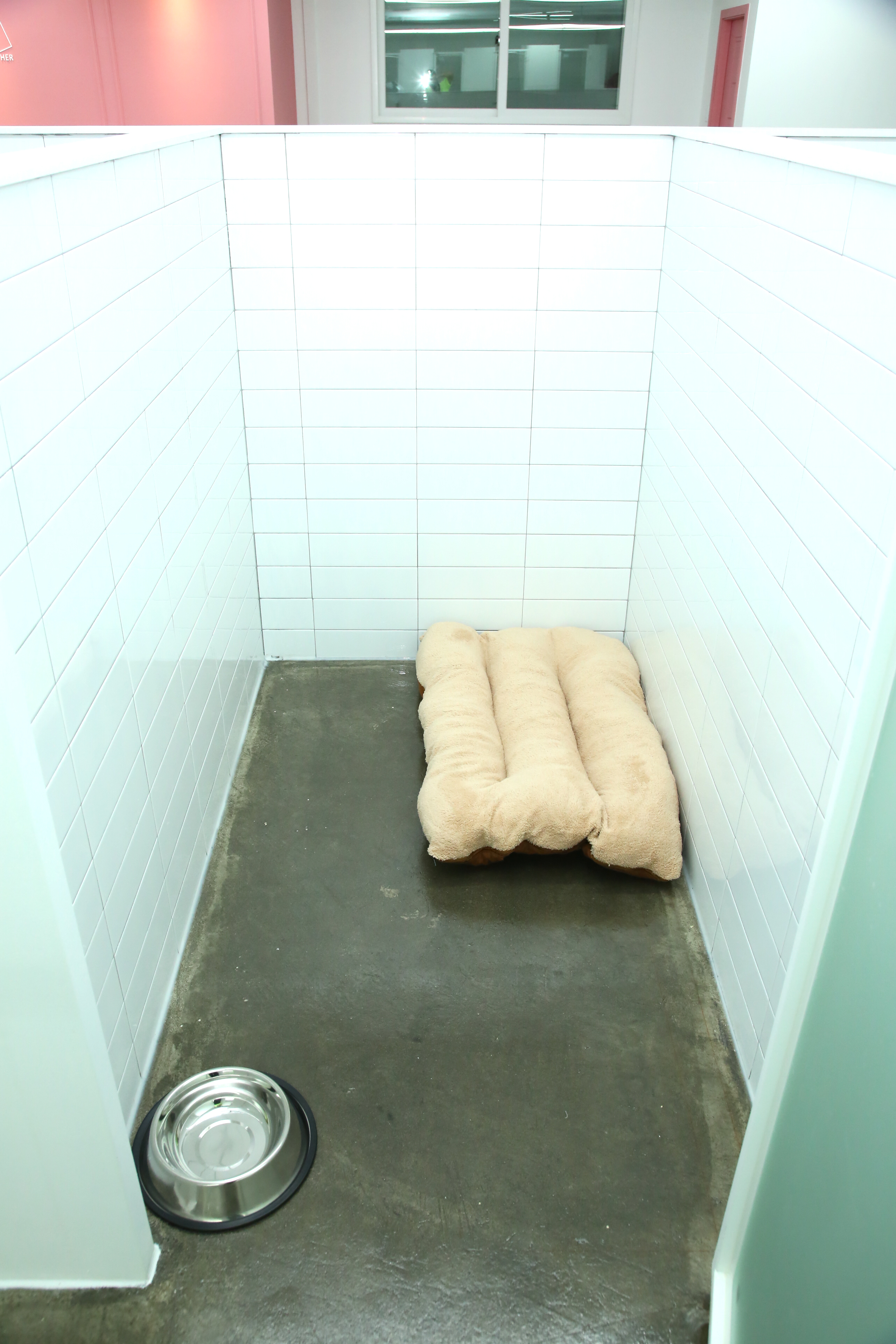멍브라더 애견카페 대표 이미지