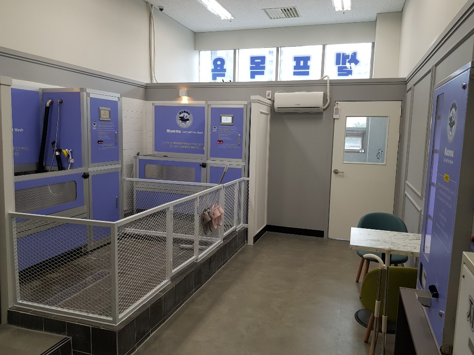 멈머24시애견셀프목욕 대표 이미지