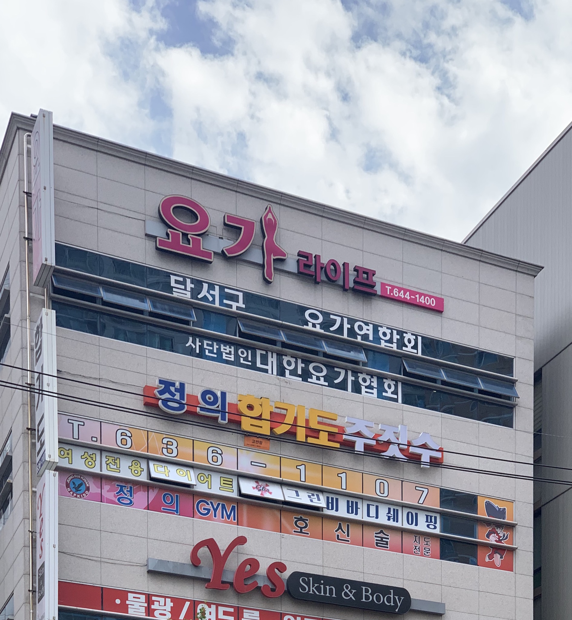 요가라이프 대표 이미지