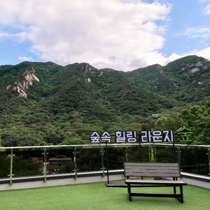 숲카페