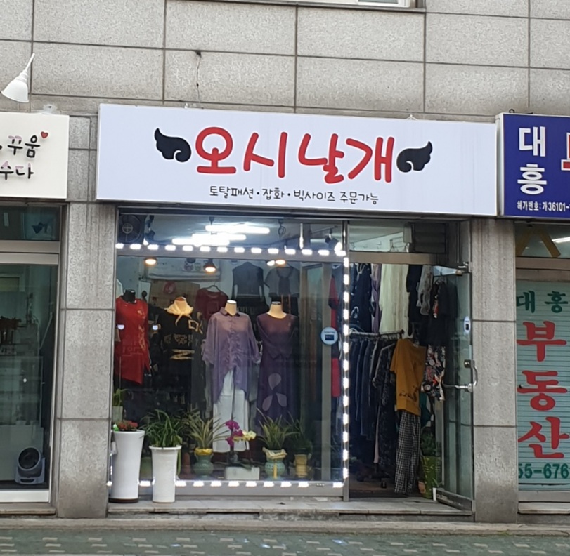 오시날개