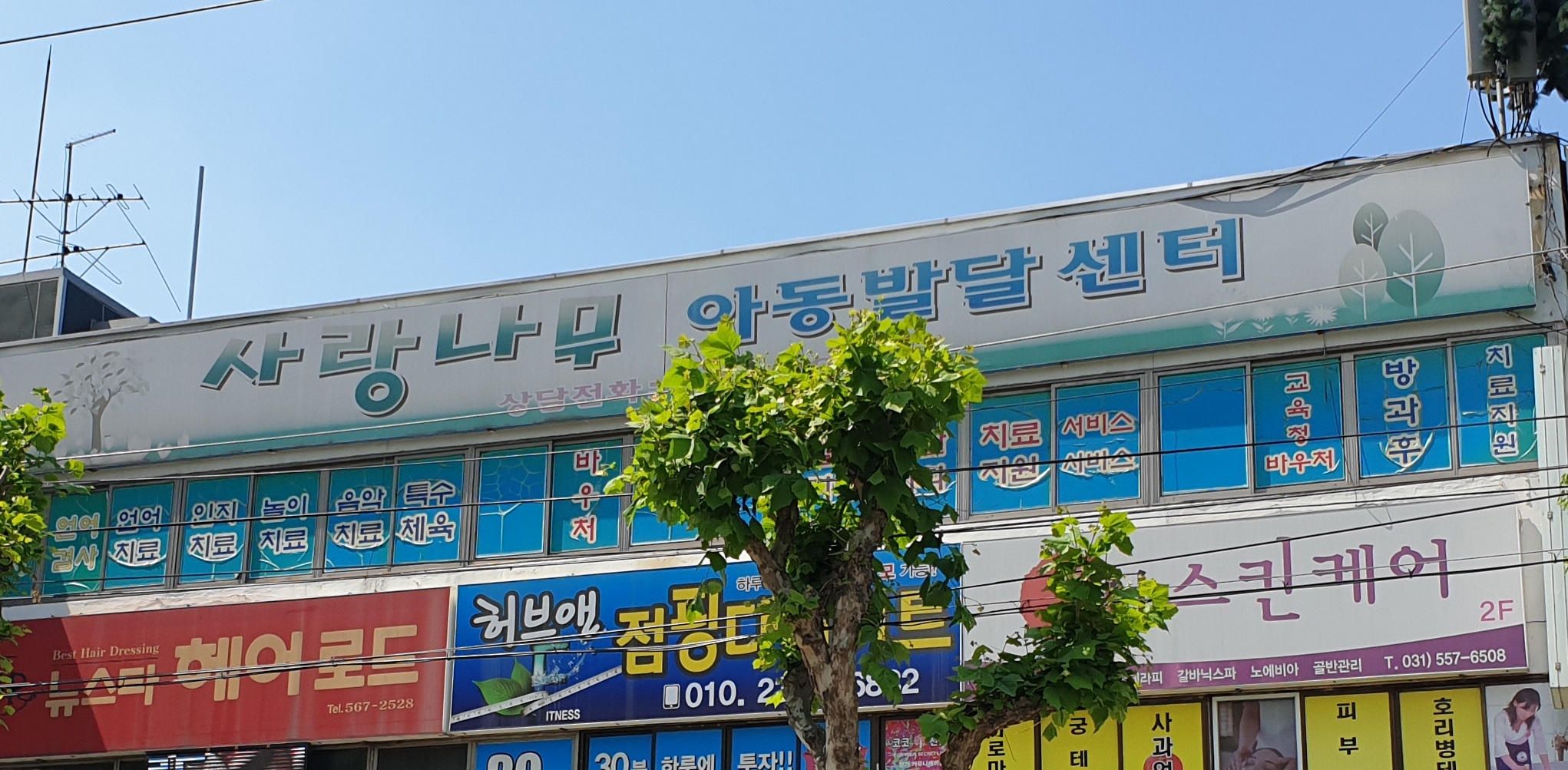 사랑나무아동발달센터