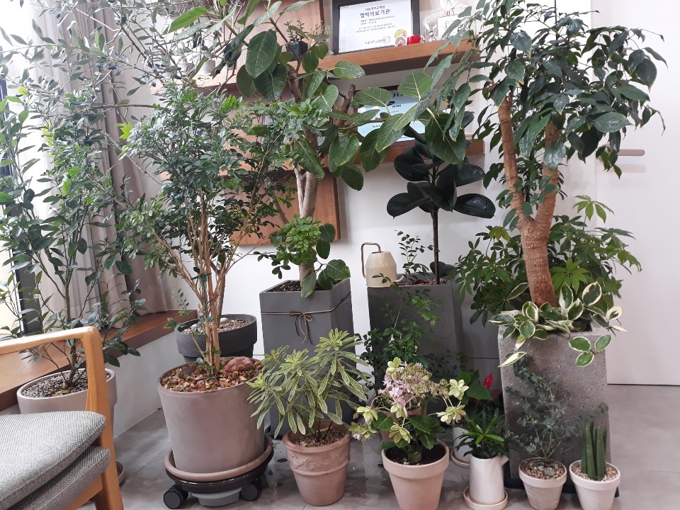 경희궁삼성정신건강 이미지