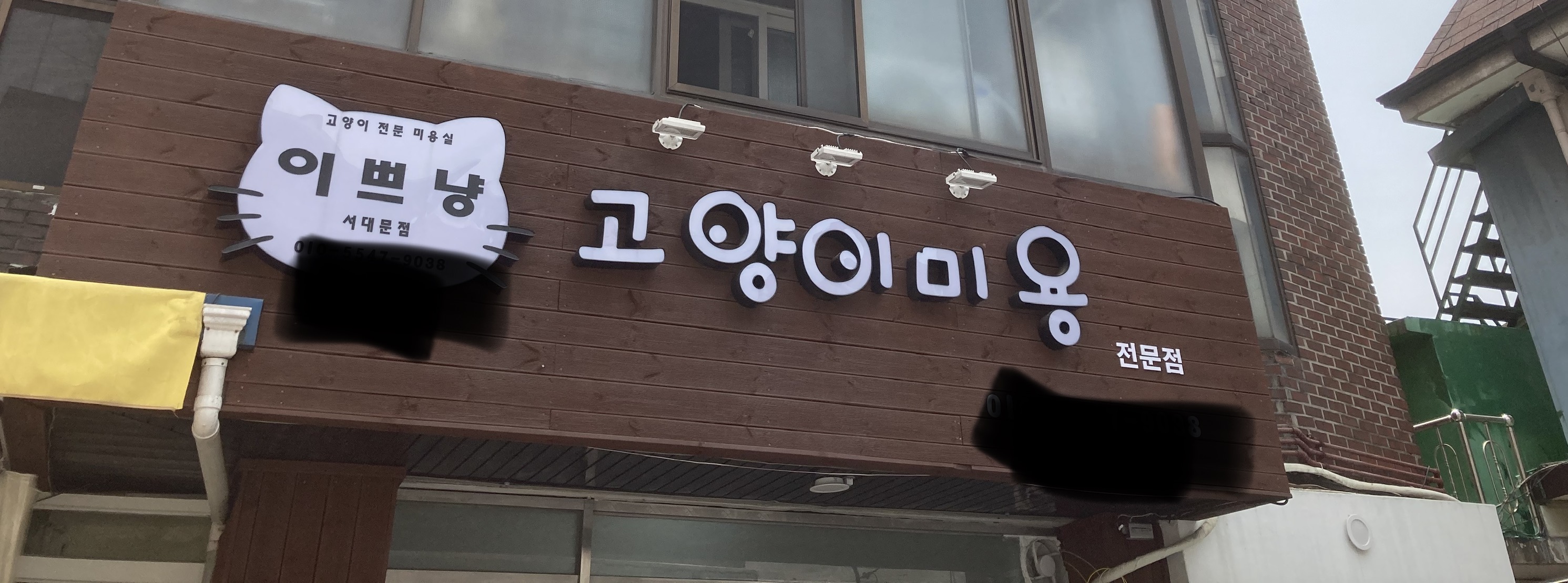 이쁘냥 고양이미용실 서대문점