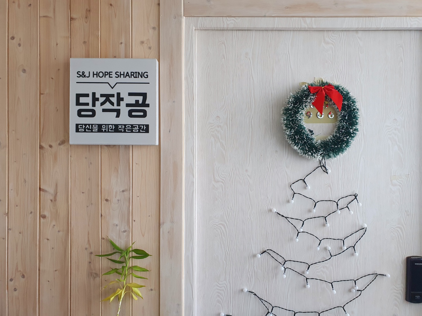 업체사진
