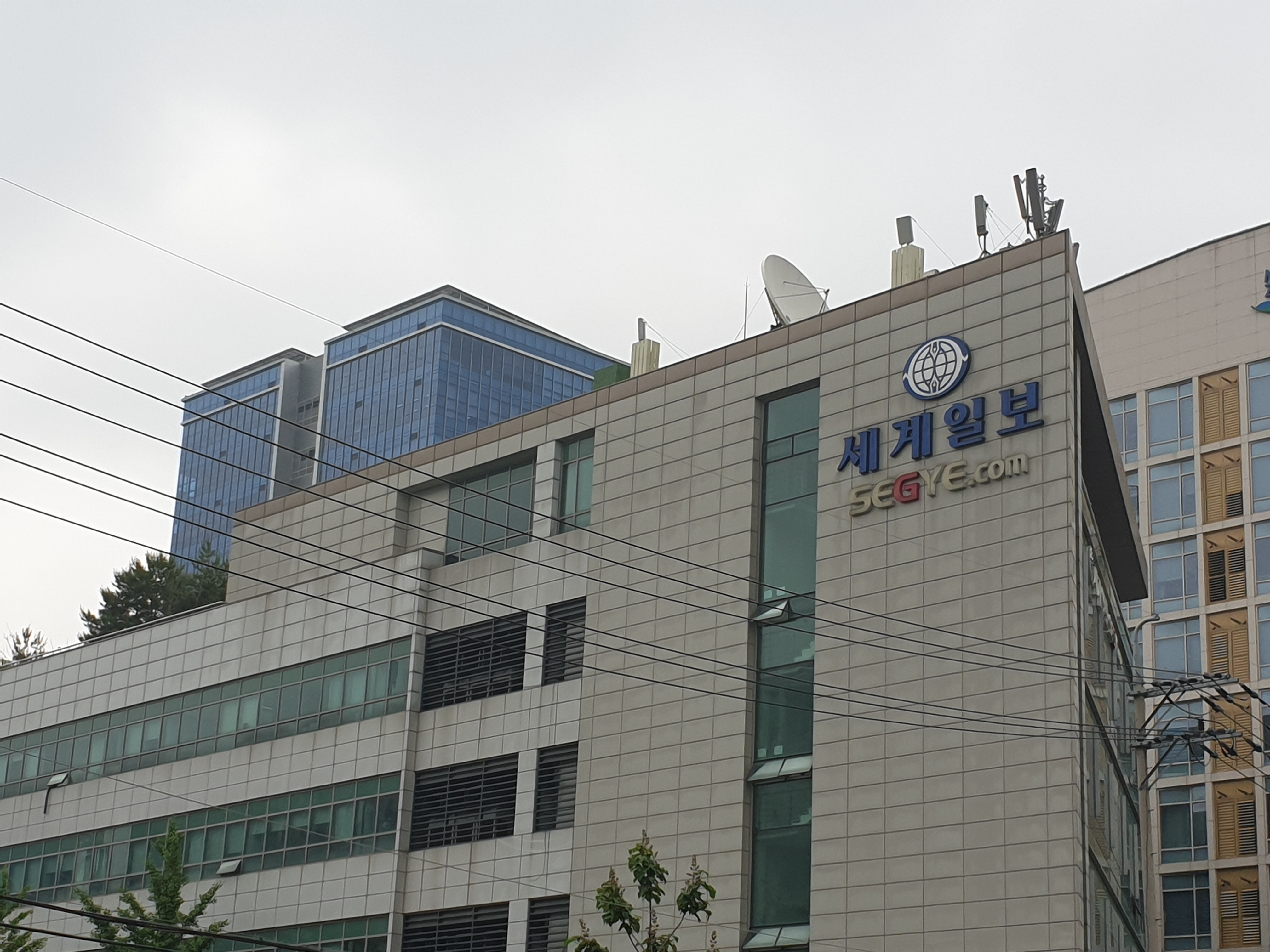 세계일보