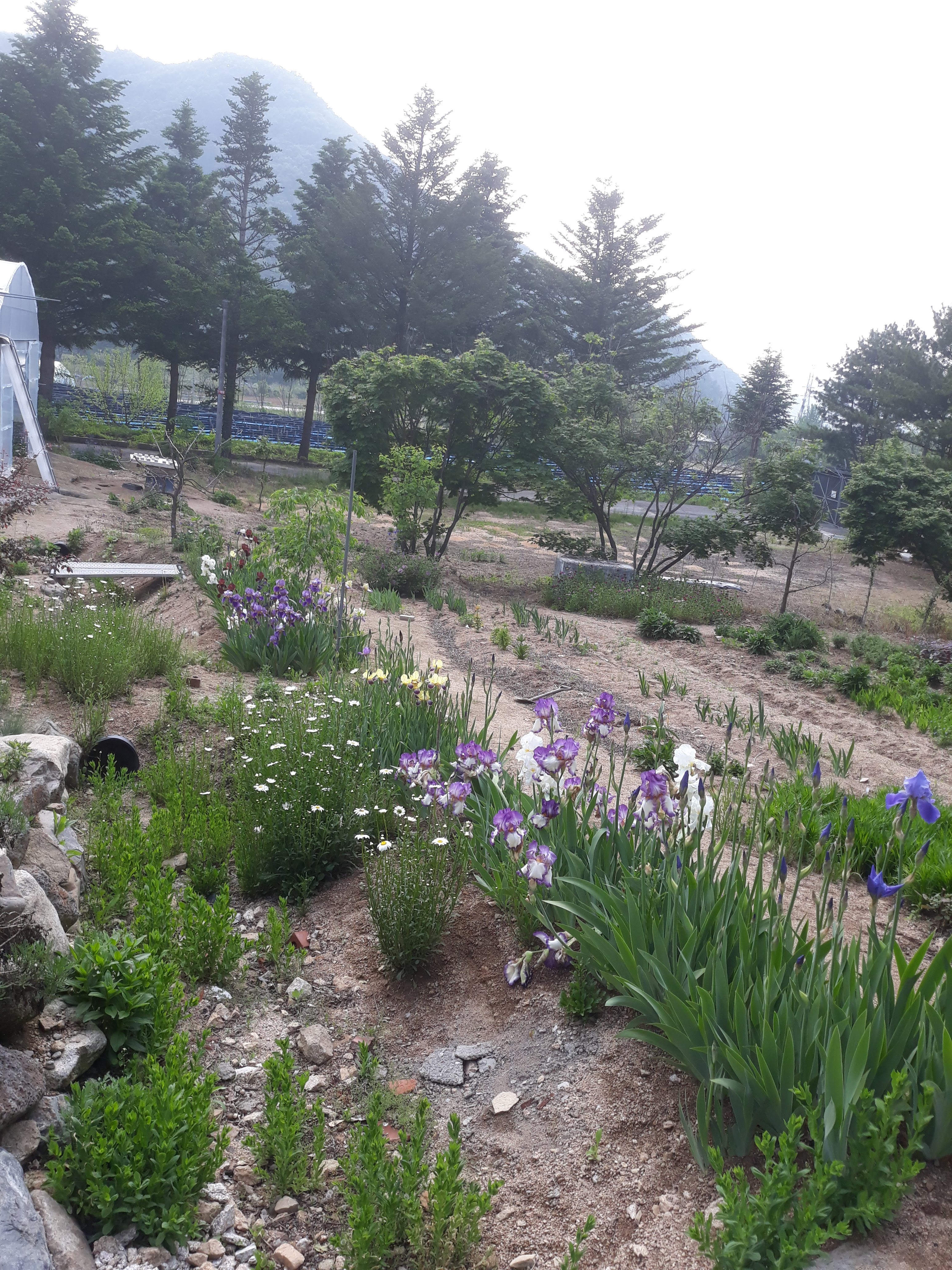 산들농원