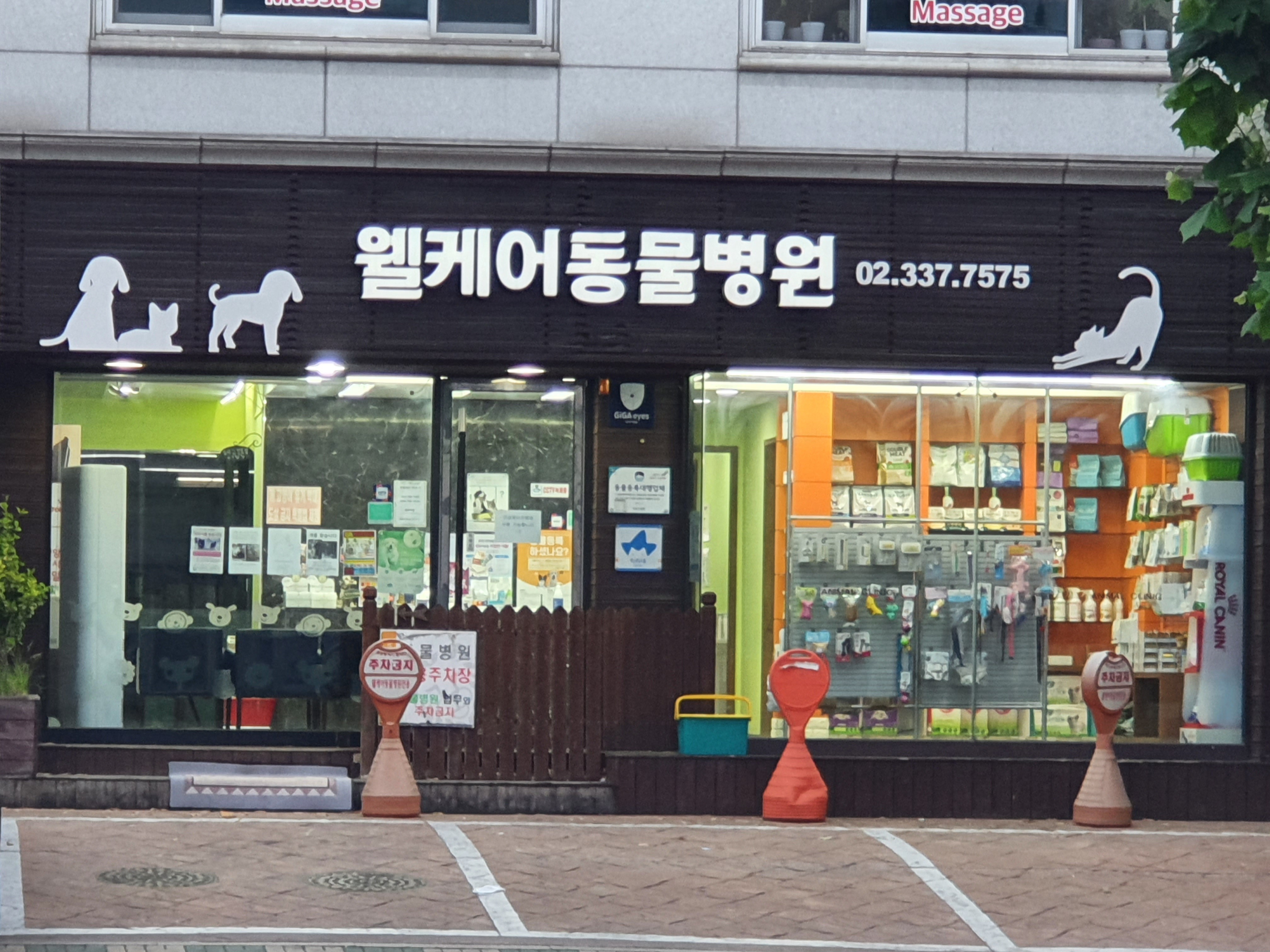 웰케어동물병원 대표 이미지