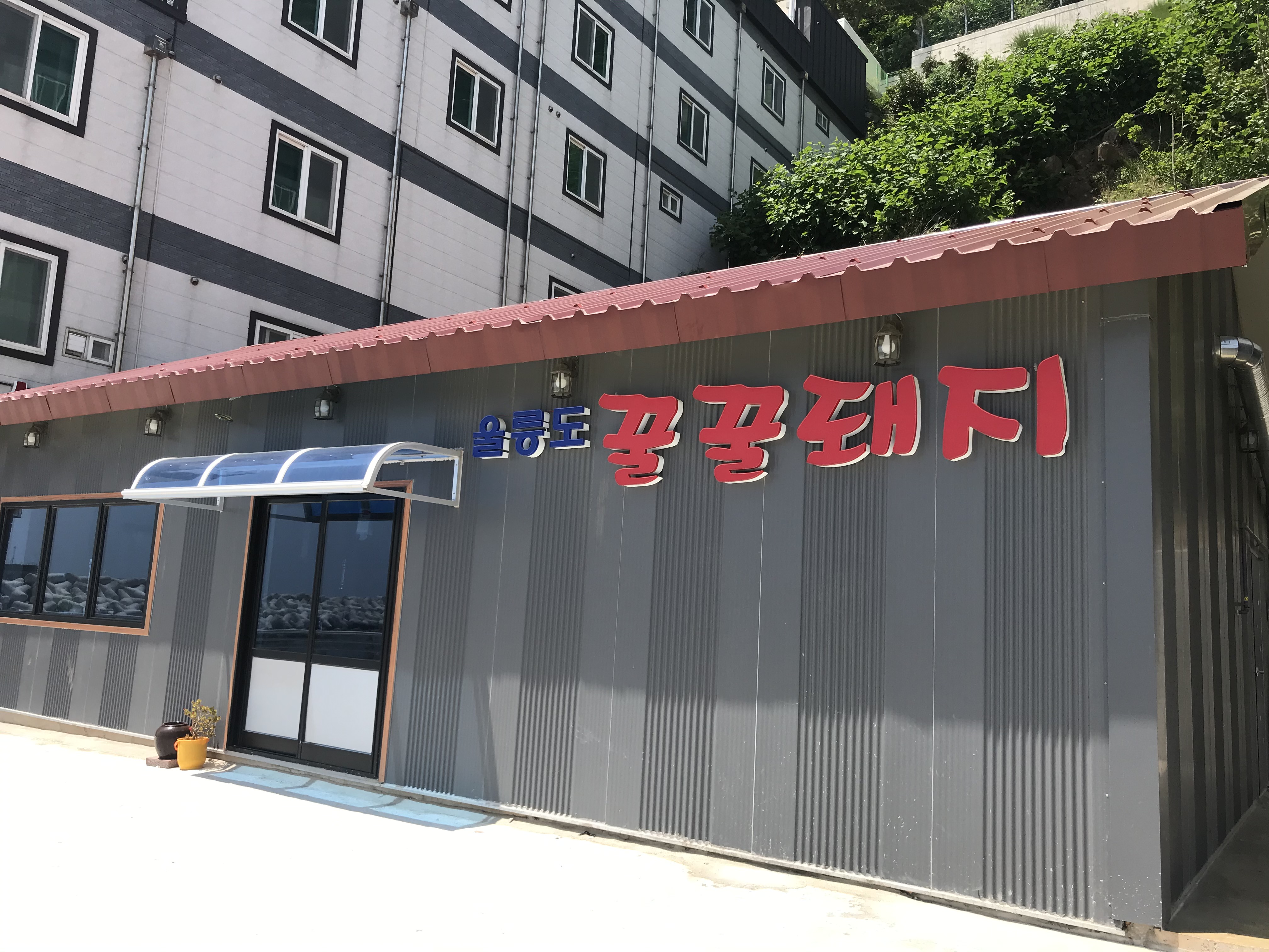 울릉도꿀꿀돼지