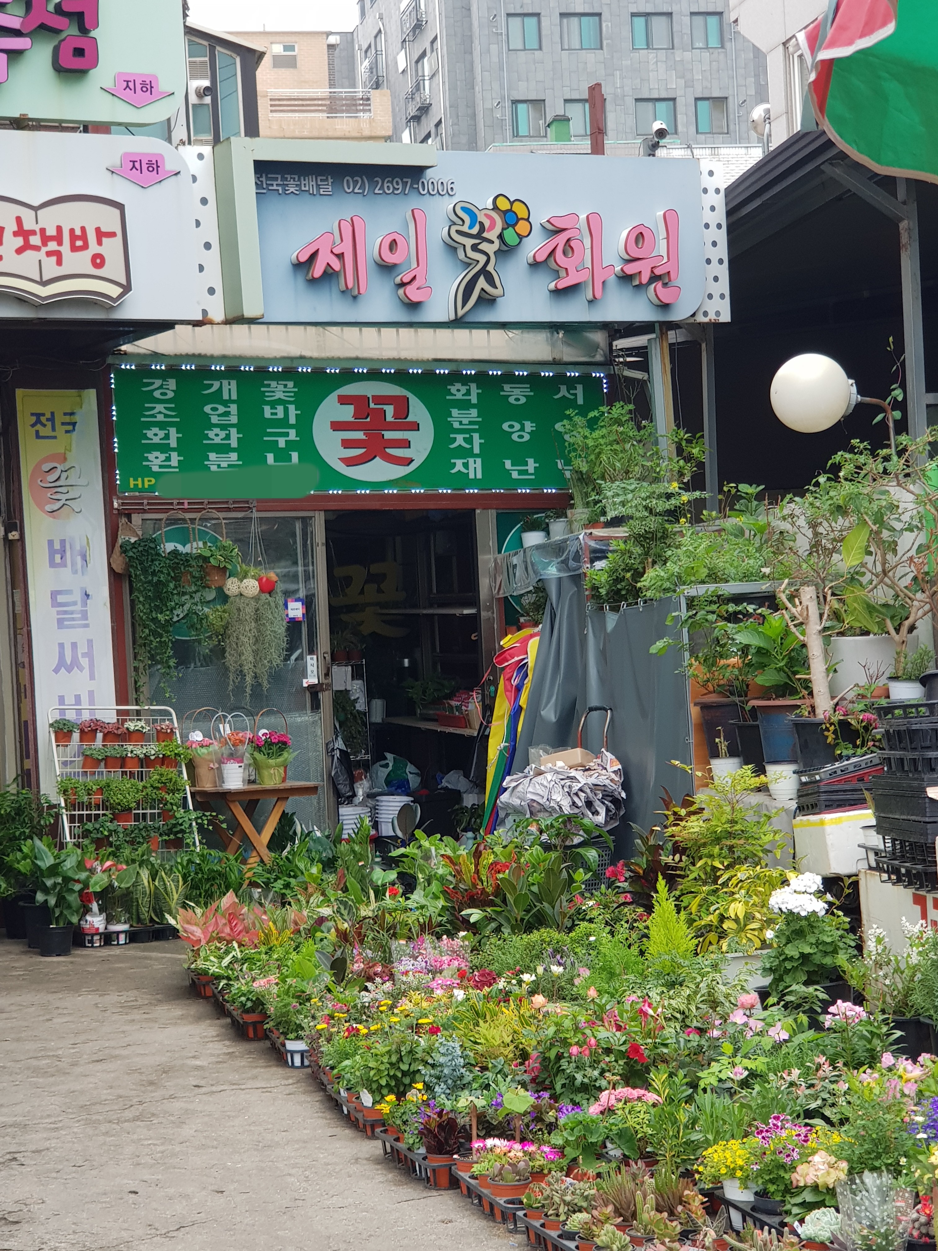 제일화원