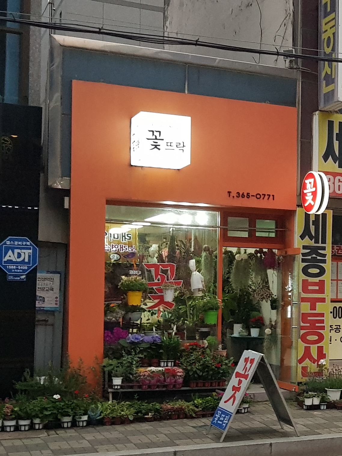 꽃뜨락플라워