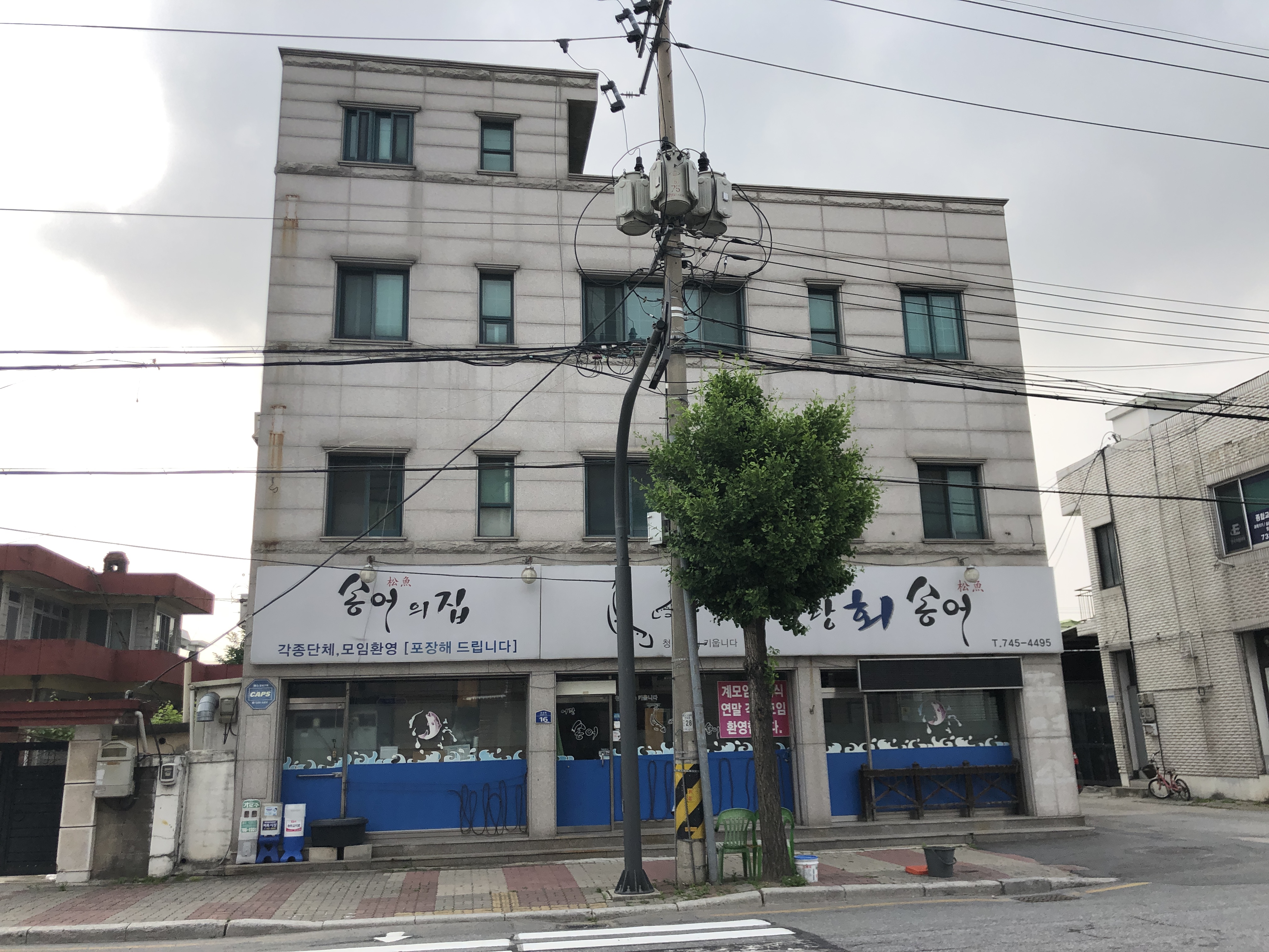 어랑송어횟집