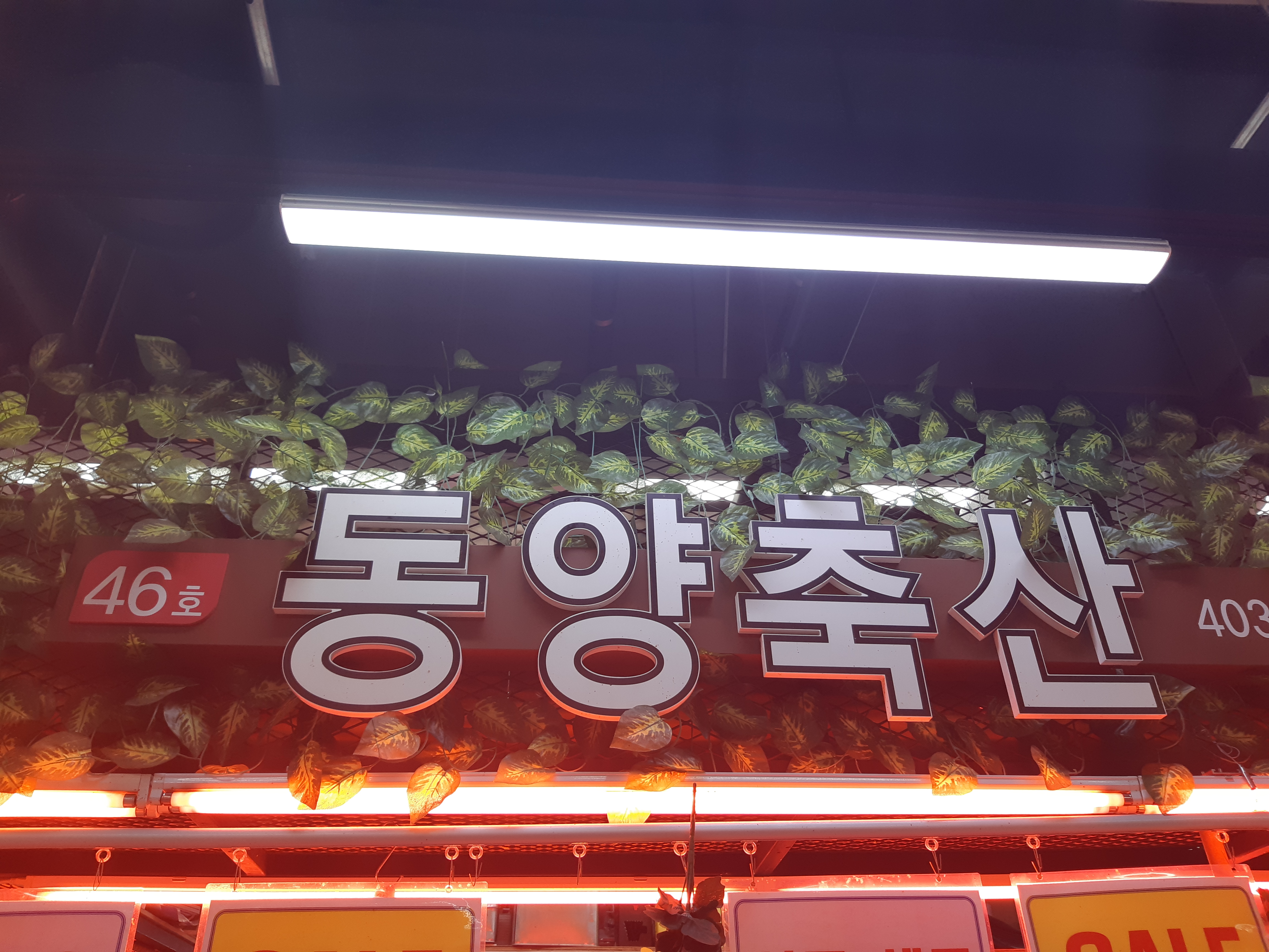 동양축산