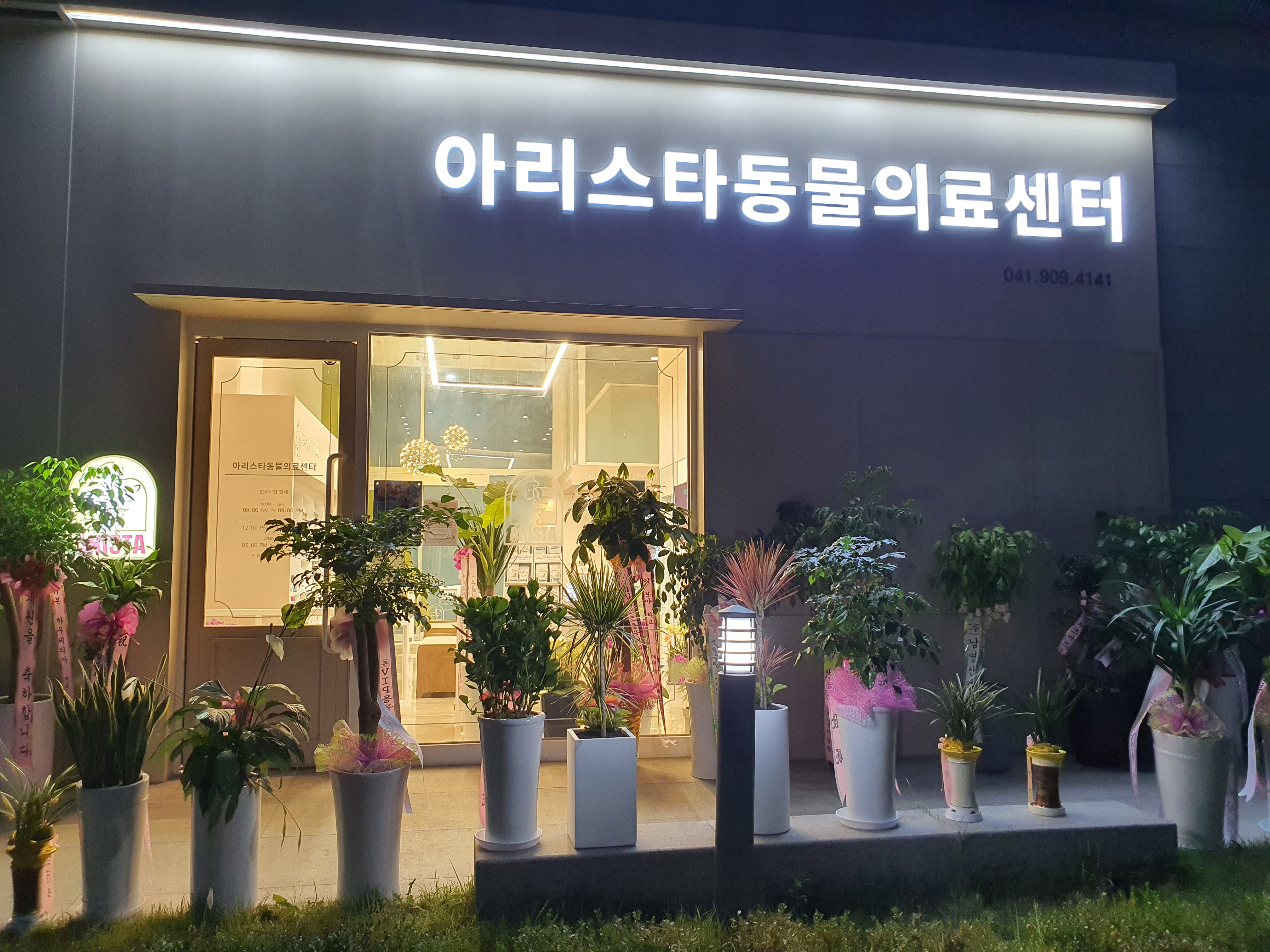 아리스타동물의료센터 대표 이미지