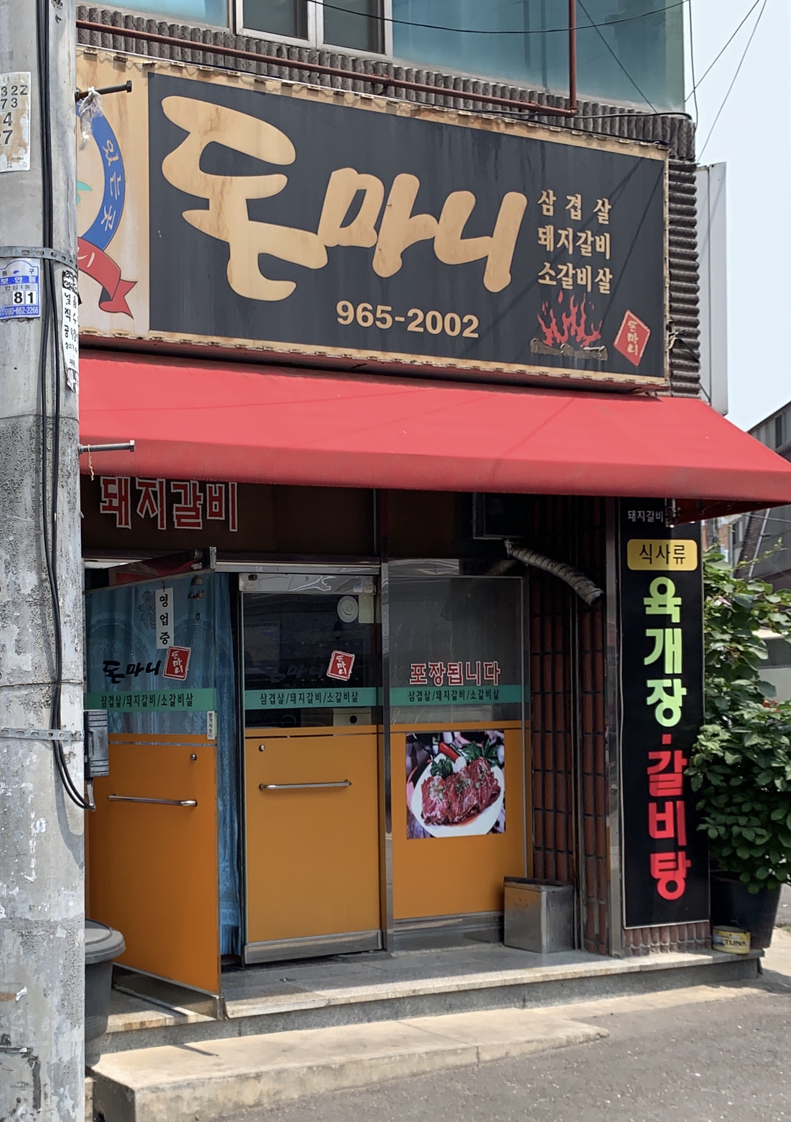 돈마니