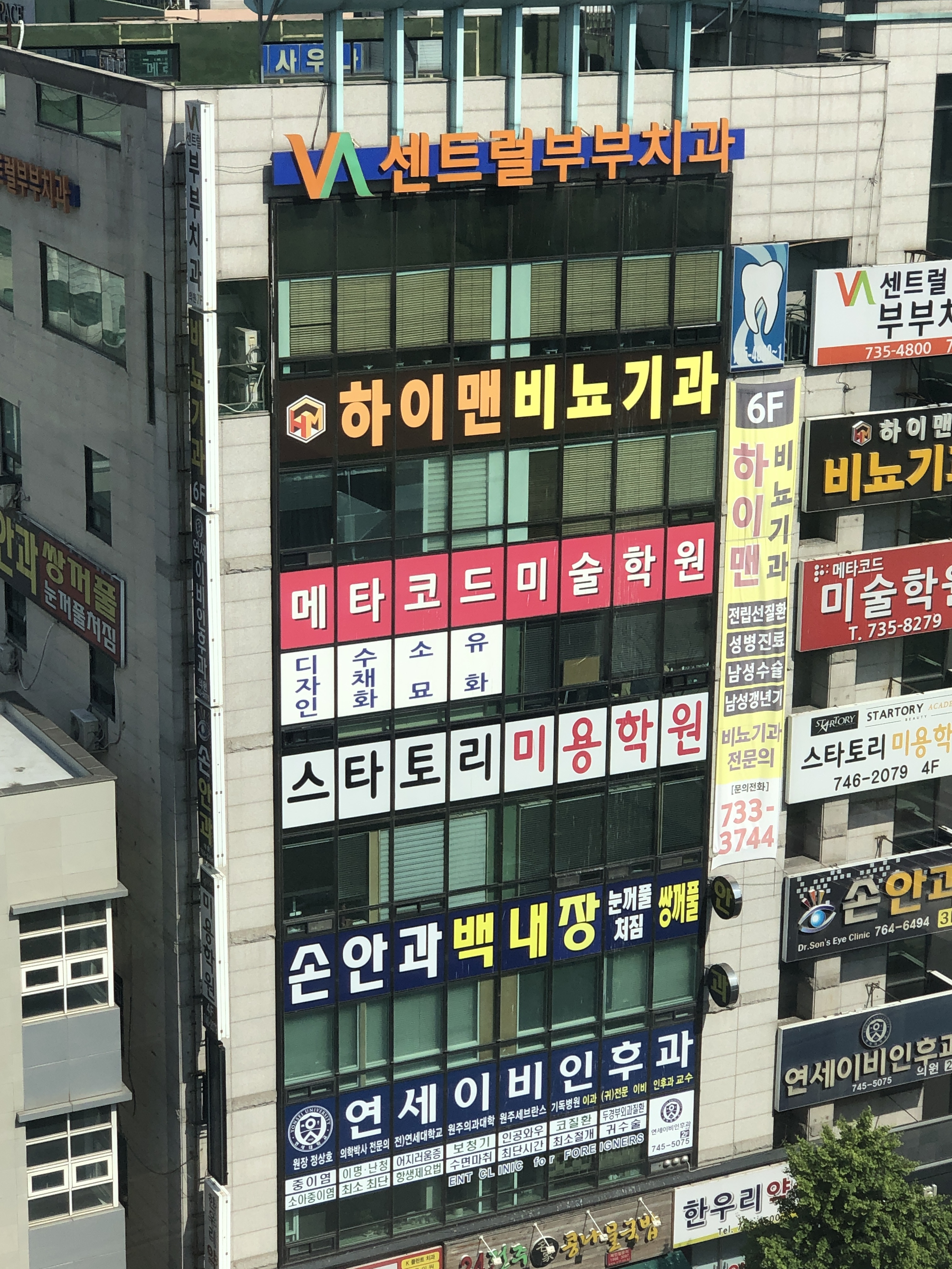 연세이비인후과의원