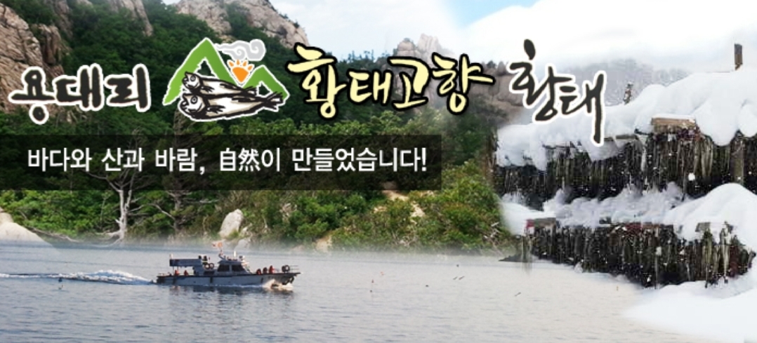 황태고향