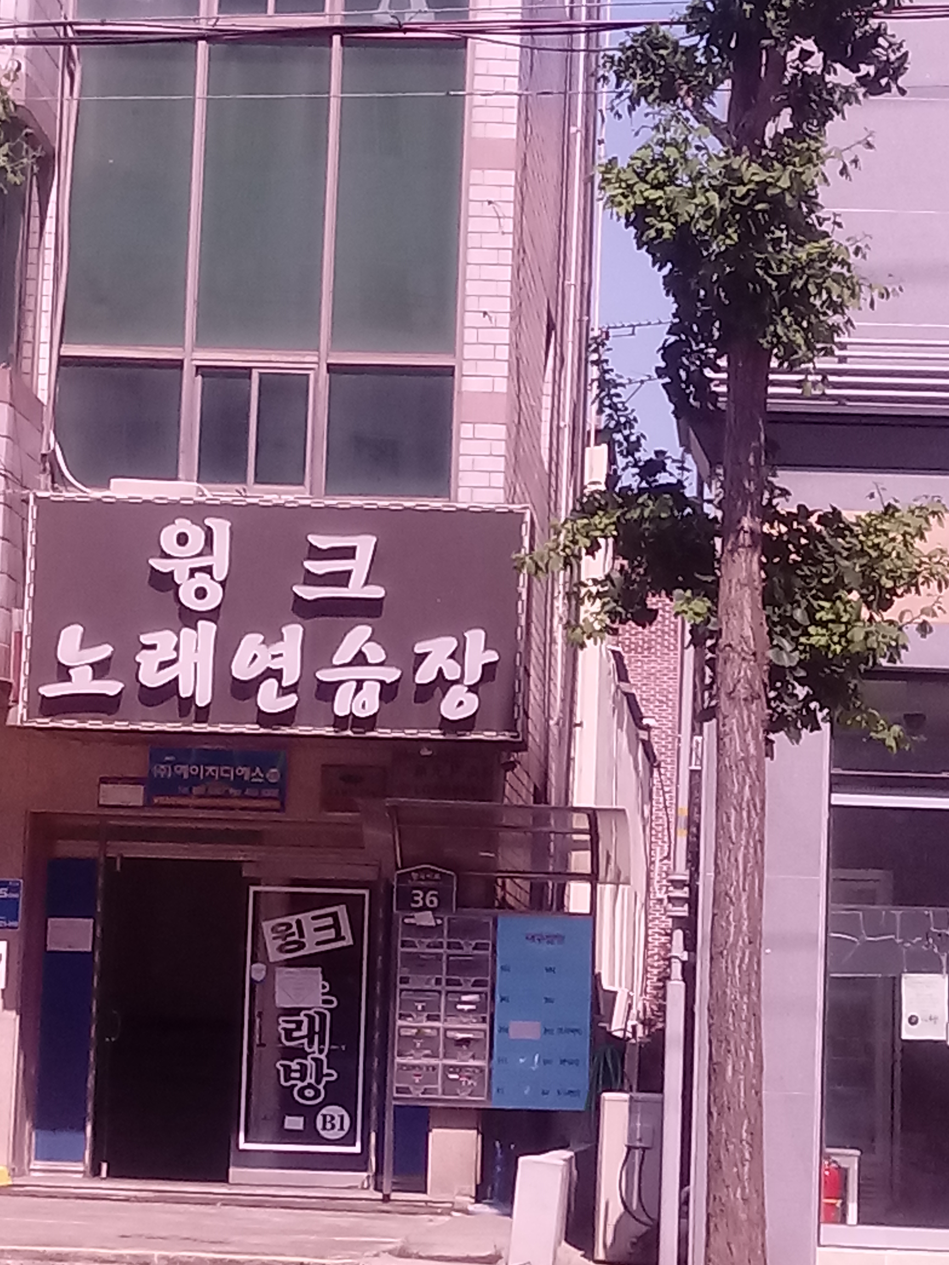 윙크노래연습장