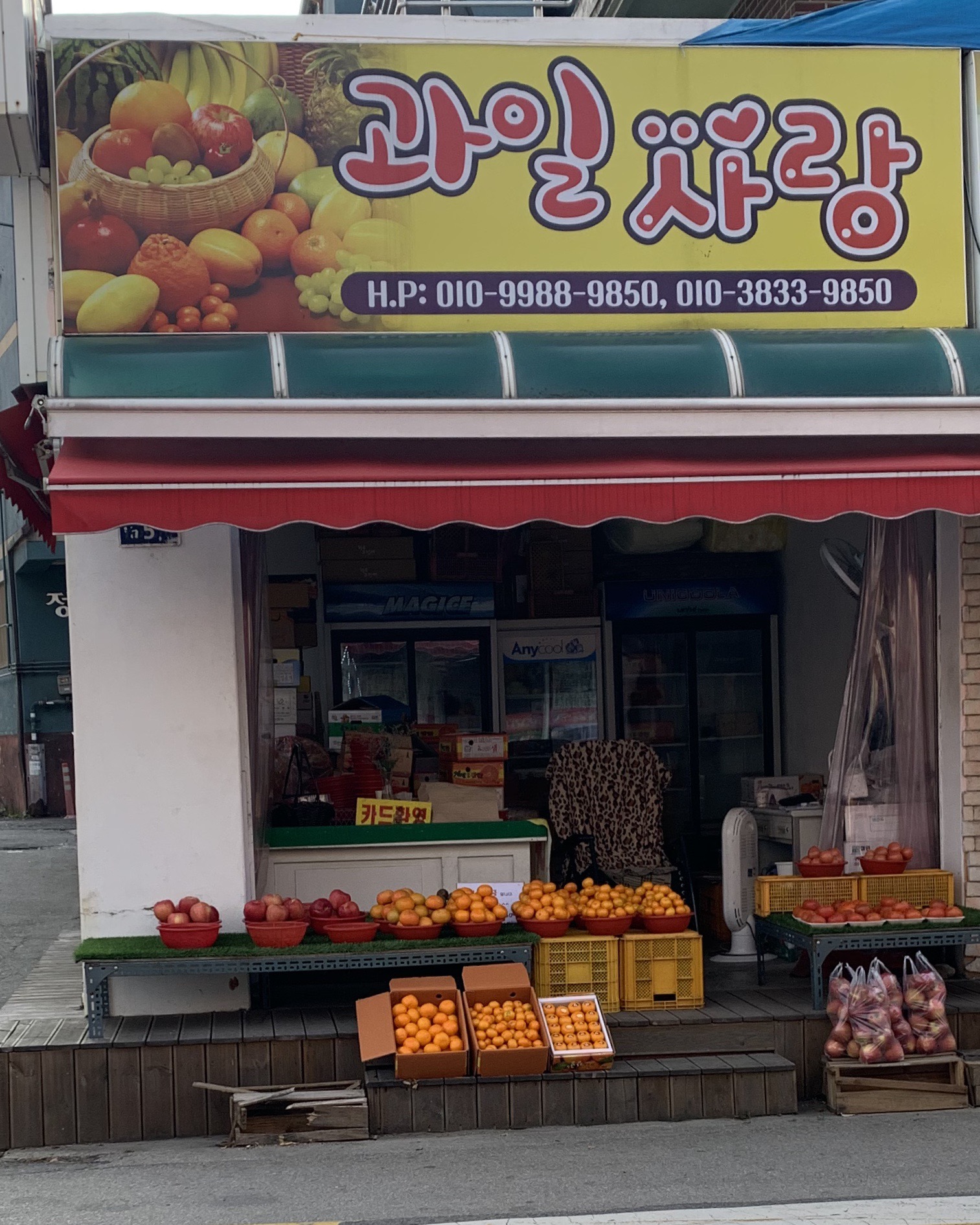 과일사랑