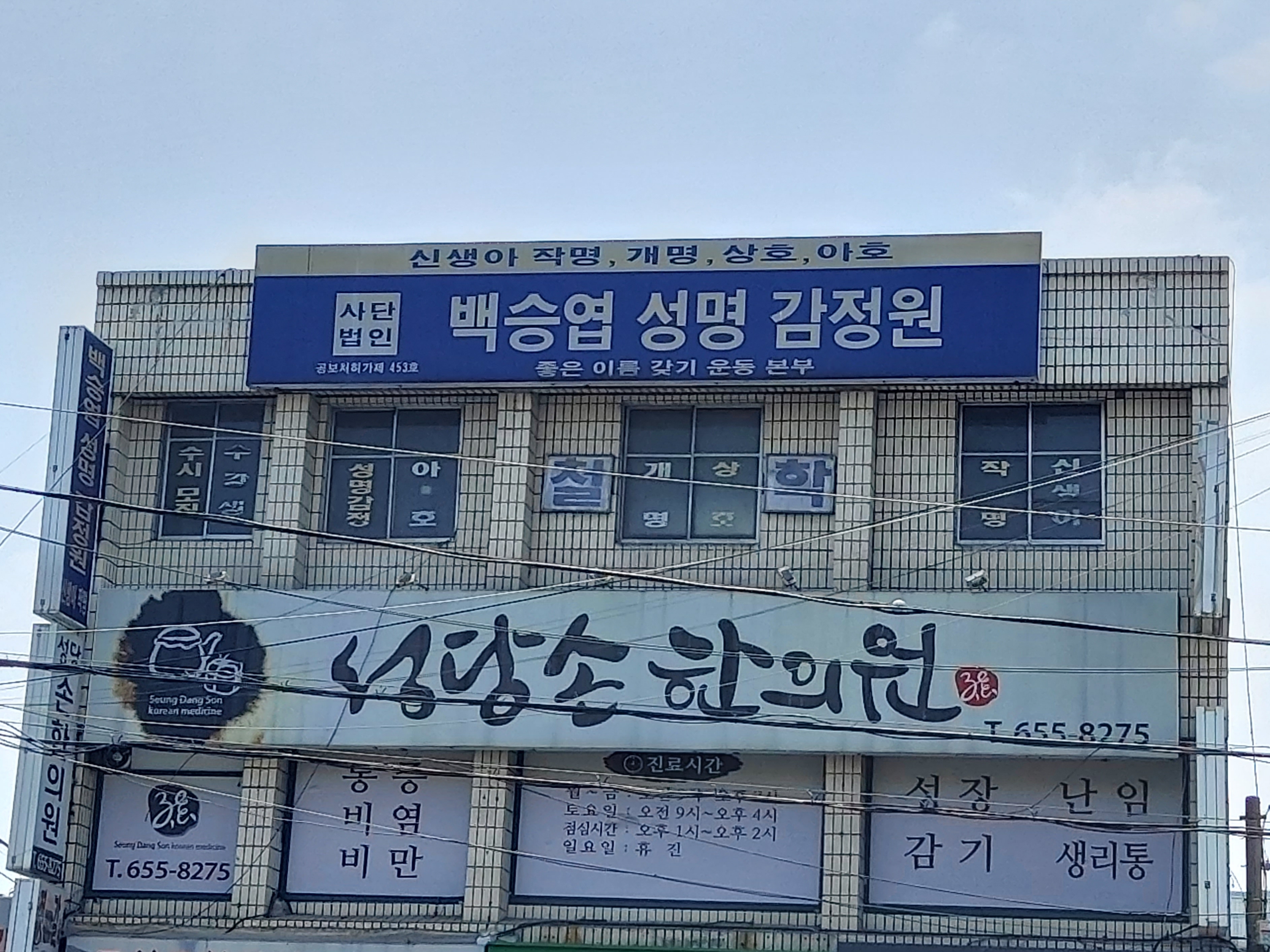 성당손한의원