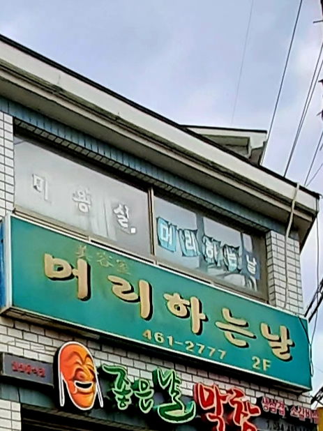 머리하는날