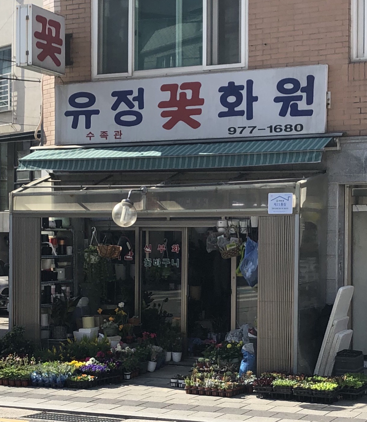 유정꽃화원