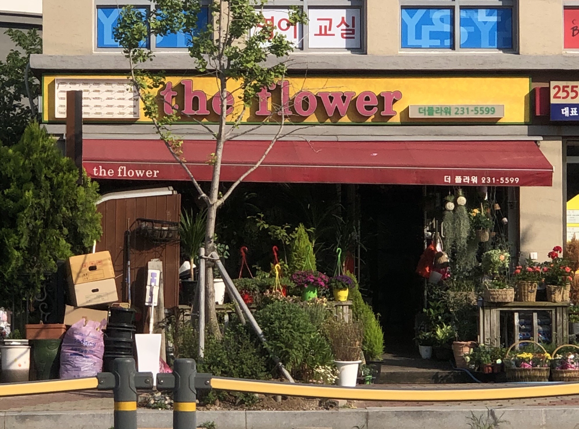 더플라워