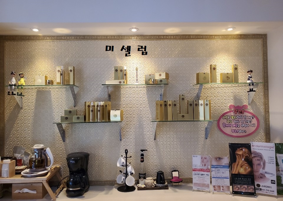 미드림