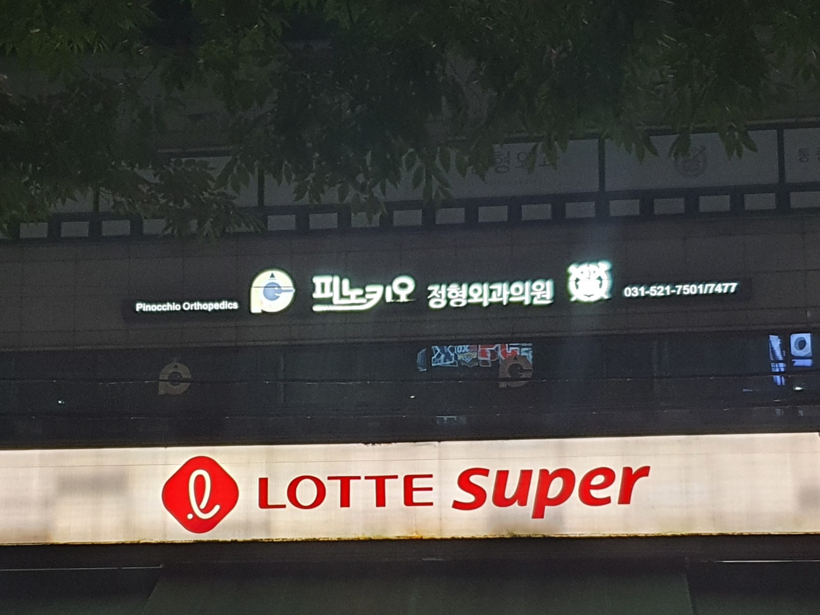 피노키오정형외과의원 사진 2