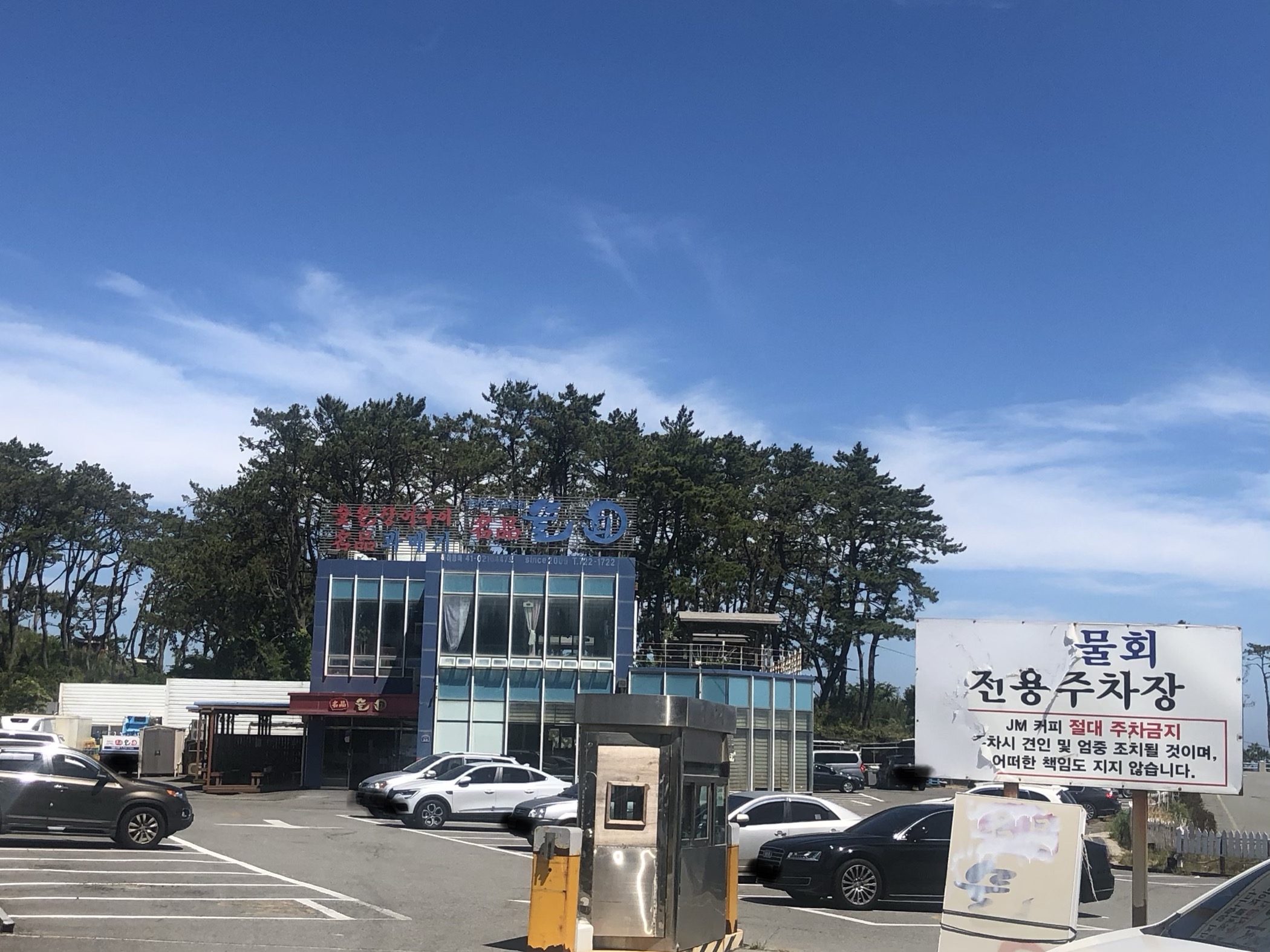 명품물회