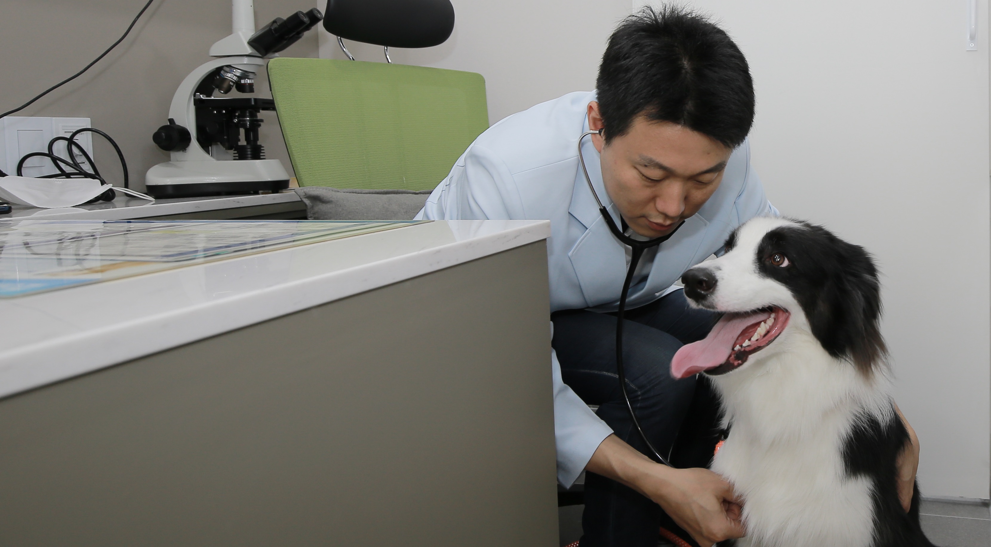 비바동물병원 대표 이미지