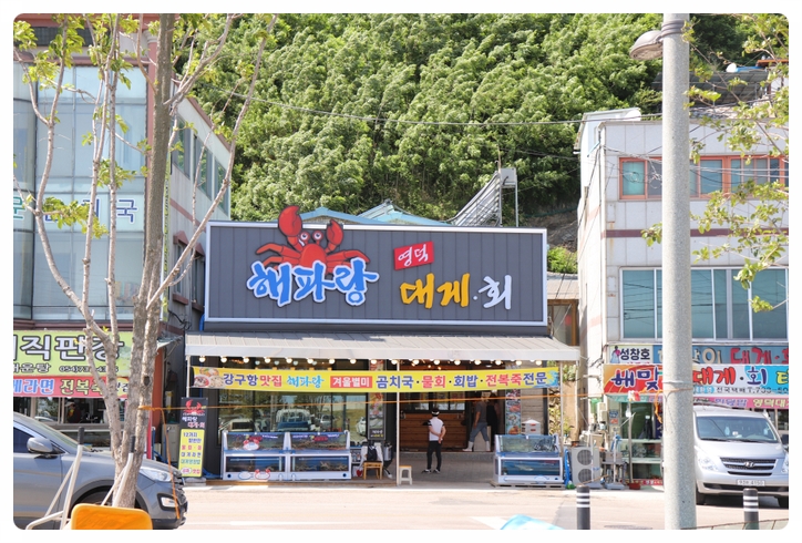 해파랑대게 이미지