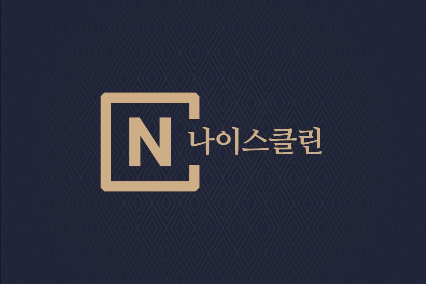 나이스클린