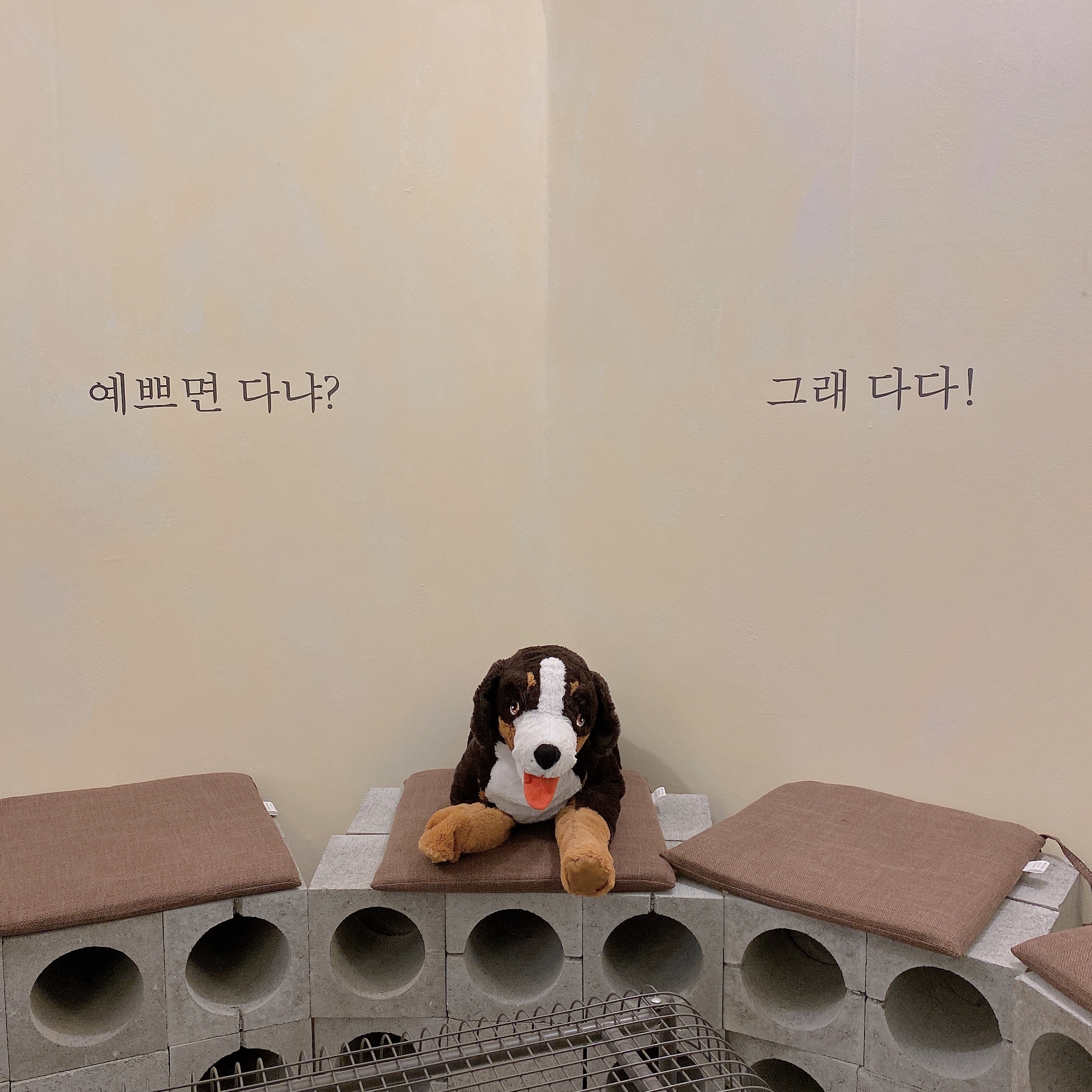 해와별